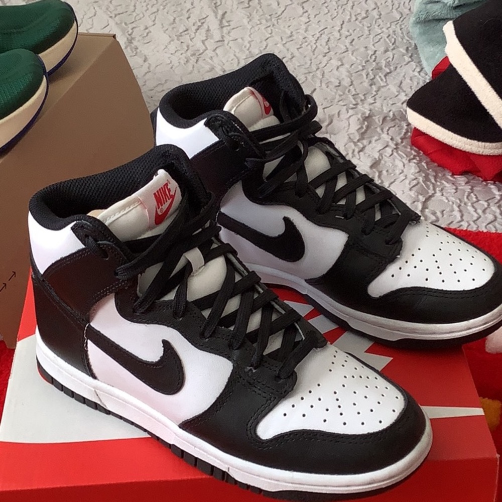 Nike Panda Dunk high top